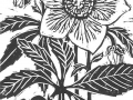 Black Hellebore - block print